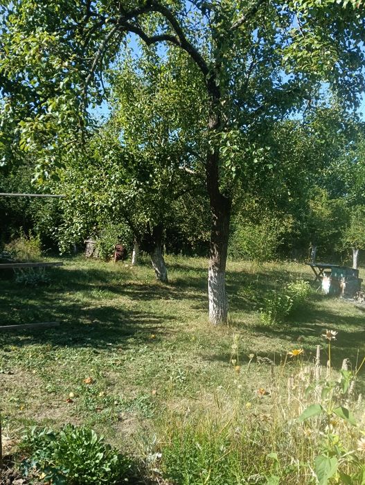 Продається дачна ділянка 21 сот