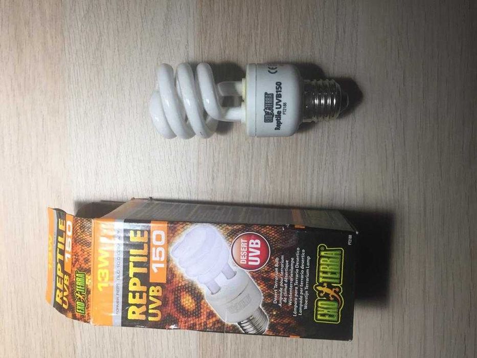 Lâmpada para tartarugas em boas condições