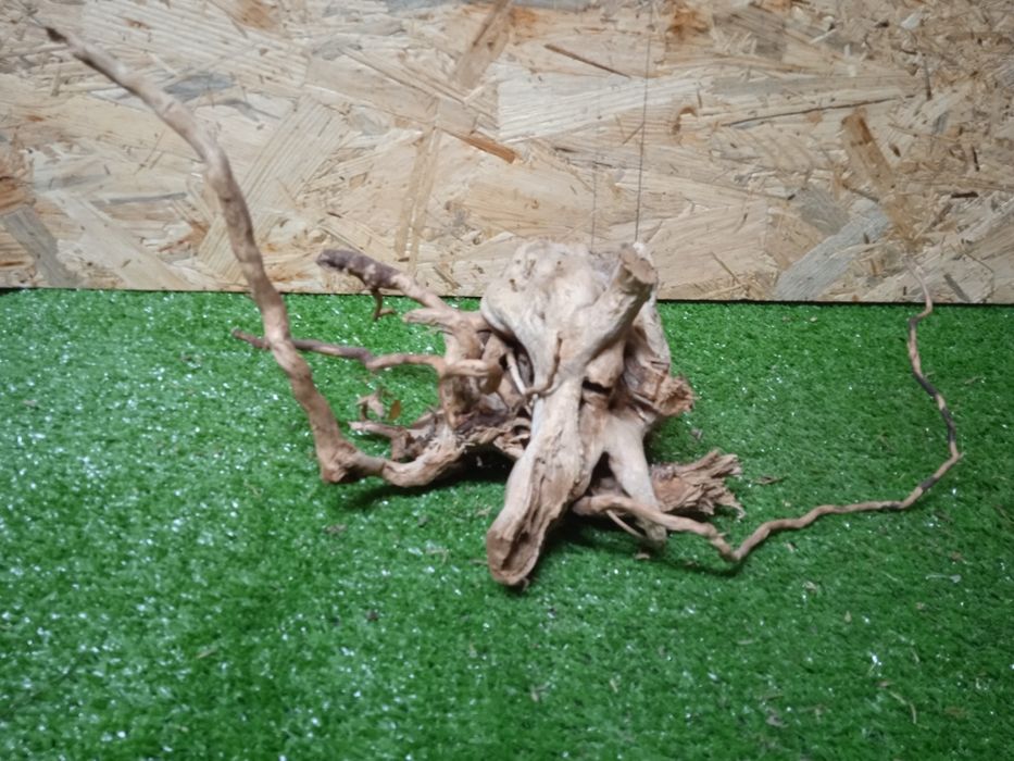 Korzeń do akwarium Red Moore Wood nr 424 o wymiarach 37/17/19