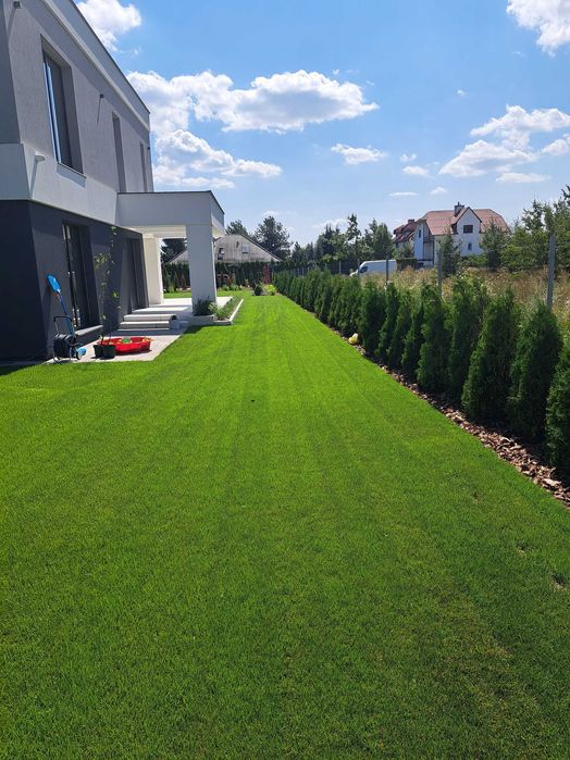 Zakładanie ogrodów, trawniki