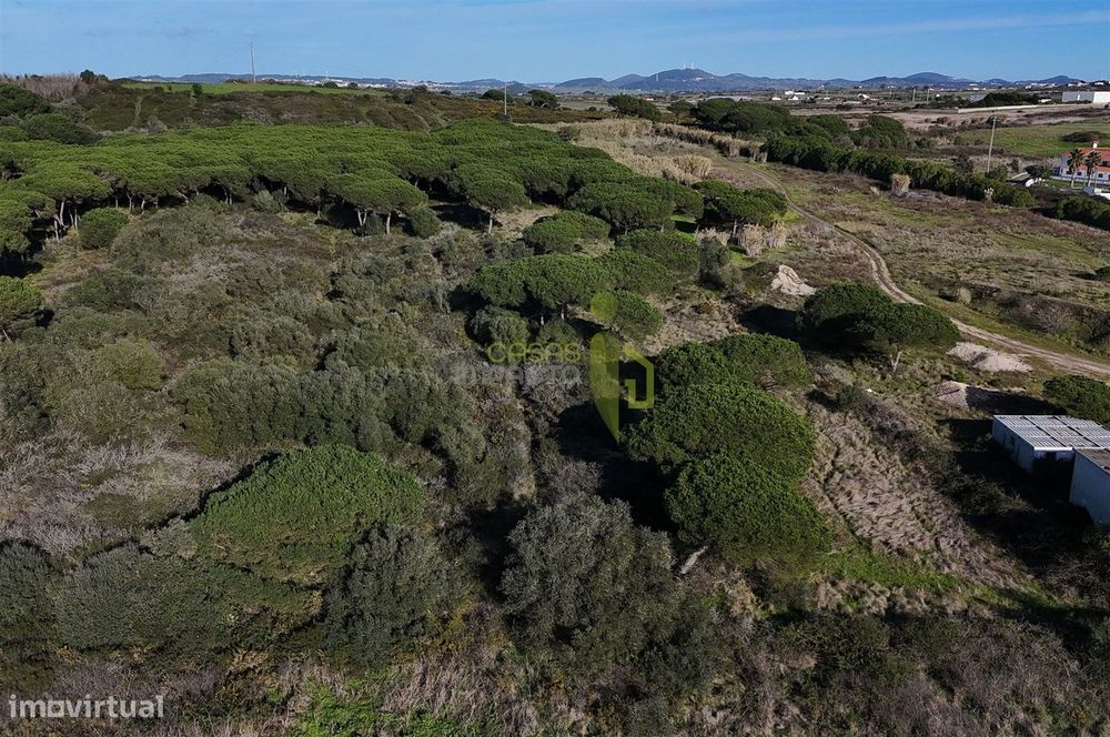 Terreno Rústico com 4.680m2 a venda na Terrugem