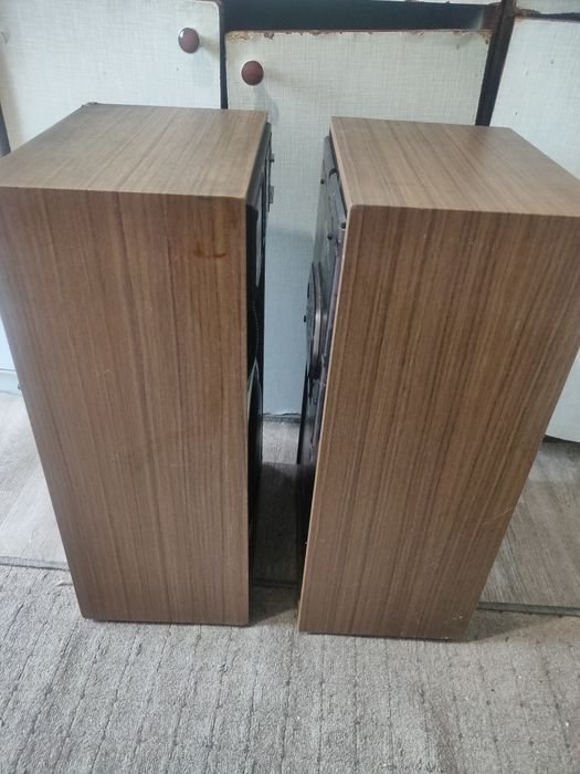 Пара колонок радиотехника s 70