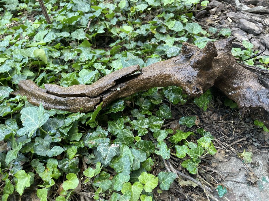 Коряги в акваріум
