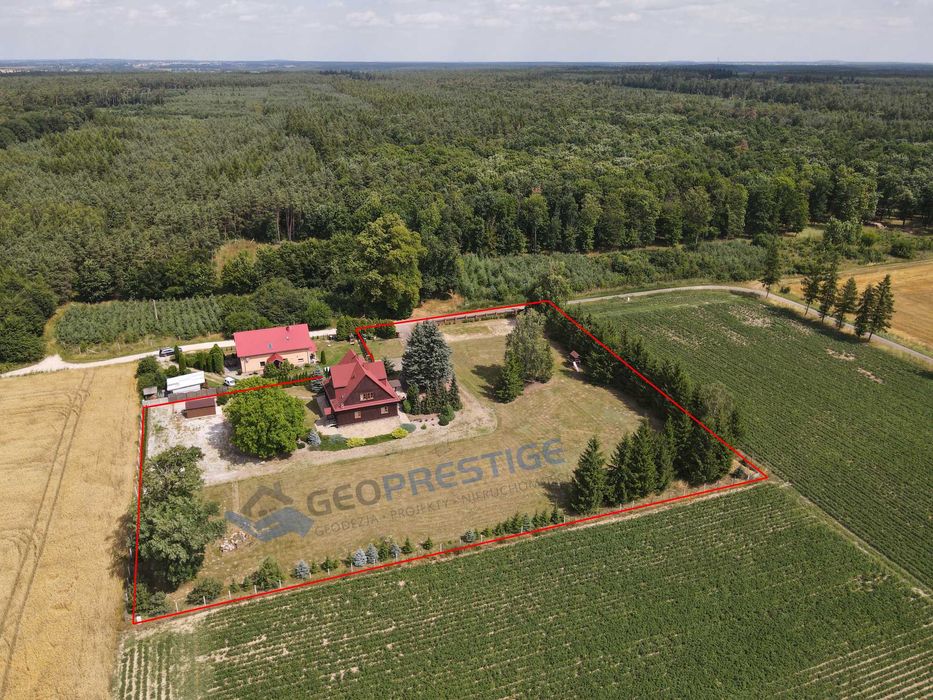 Leśniczówka na sprzedaż, Gołąbki