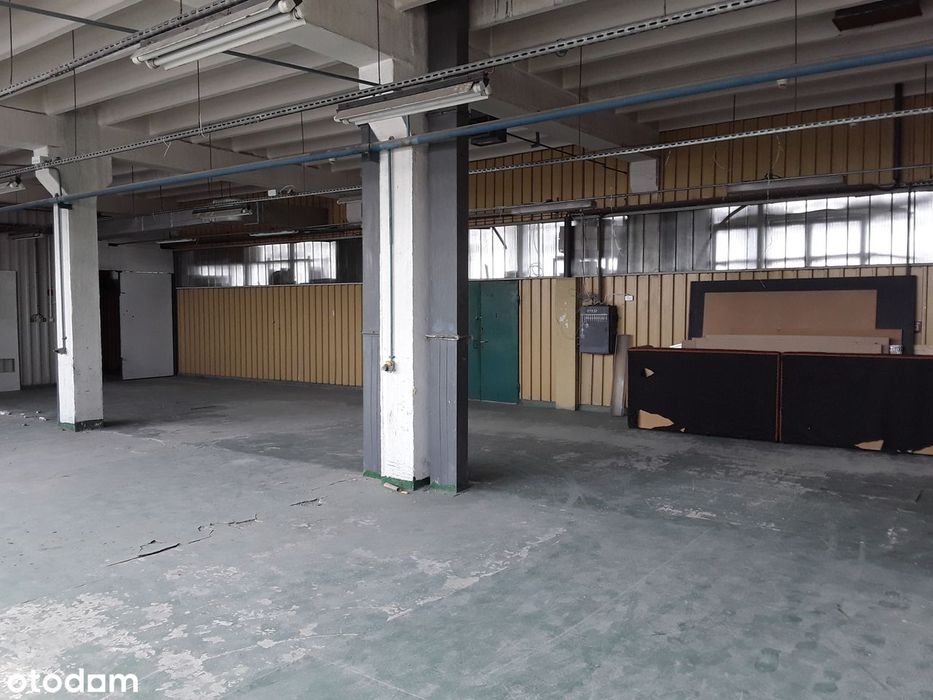 Elastyczna powierzchnia-Starołęka