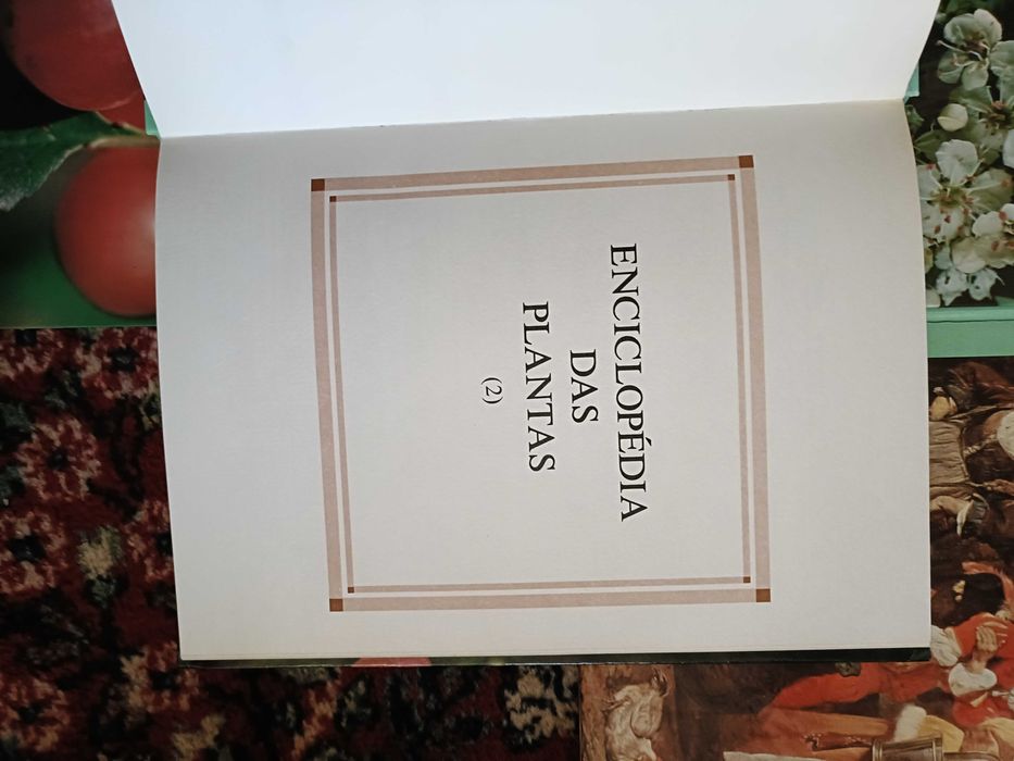 4 Livros As Plantas Nossas Amigas