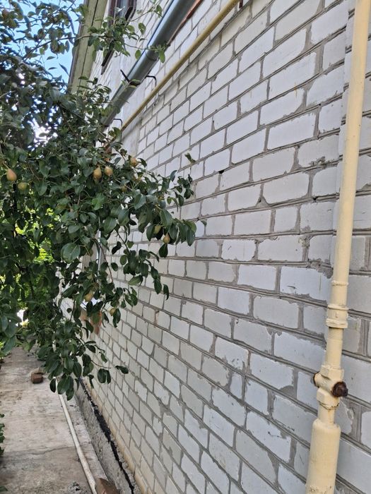 Продам дом в Покотиловке