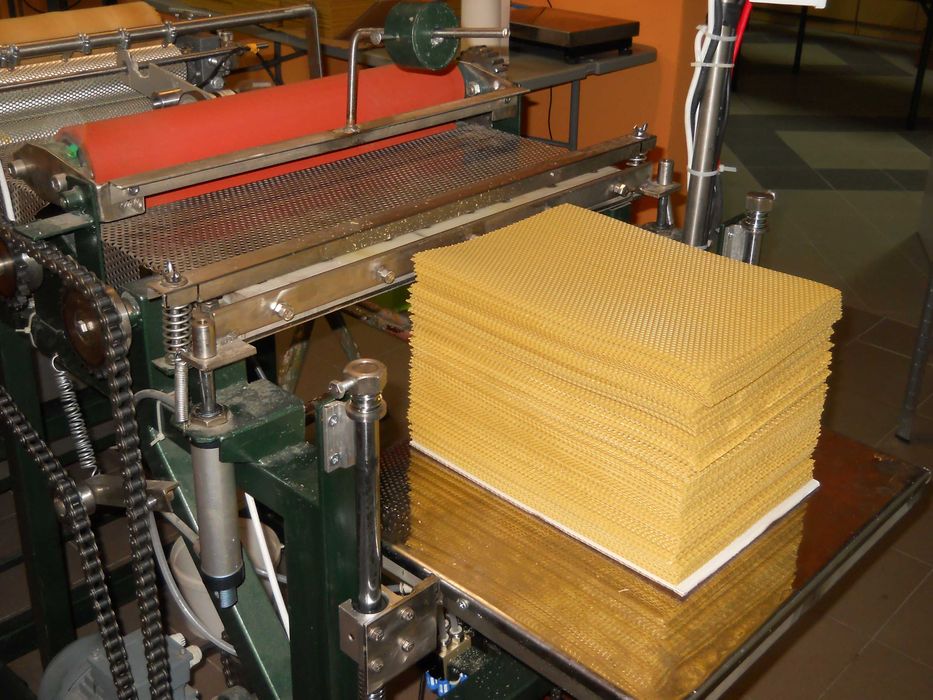 Matki Pszczele unasiennione ,, Krainka Prima ''