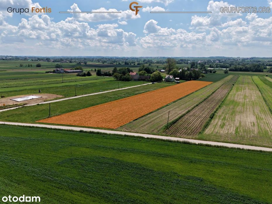 Działka 73 ary z Wz – Kobylniki | Kazimierski - Widok 3