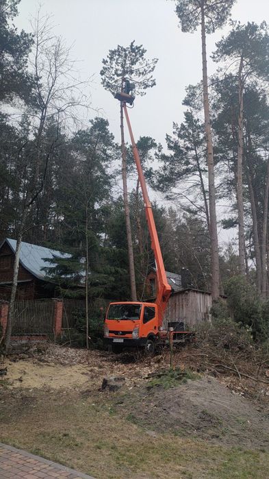 Wycinka drzew, podnośnik koszowy, zwyżka 21m