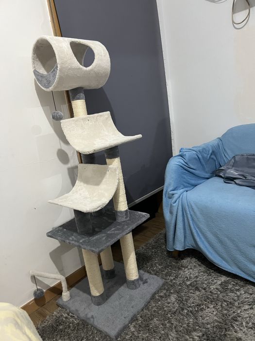 arranhador de gato