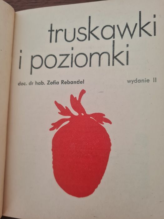 Truskawki i poziomki - Zofia Rebandel. Książka