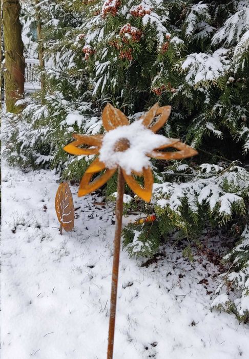 Kwiat ozdoba ogrodowa corten rdzewiona przestrzenna 3D 011