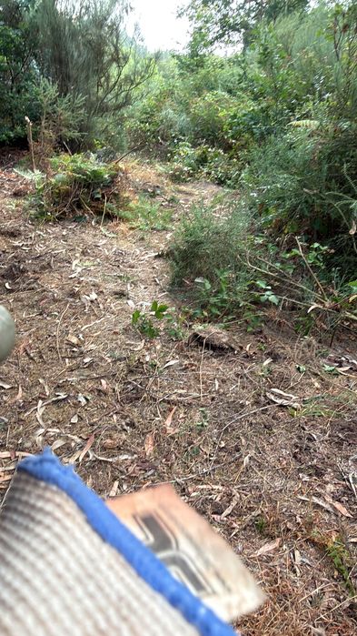 Terreno agrícola com poço que não seca o ano todo, com bons acessos junto à A25
