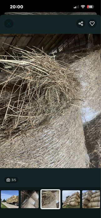 Siano bele 120x120 dla koni owiec bydla z transportem