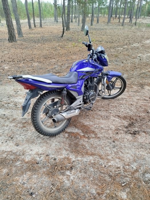 Продам Мустанг регіон 200