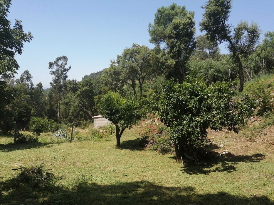 Terreno em santa marinha do zezere