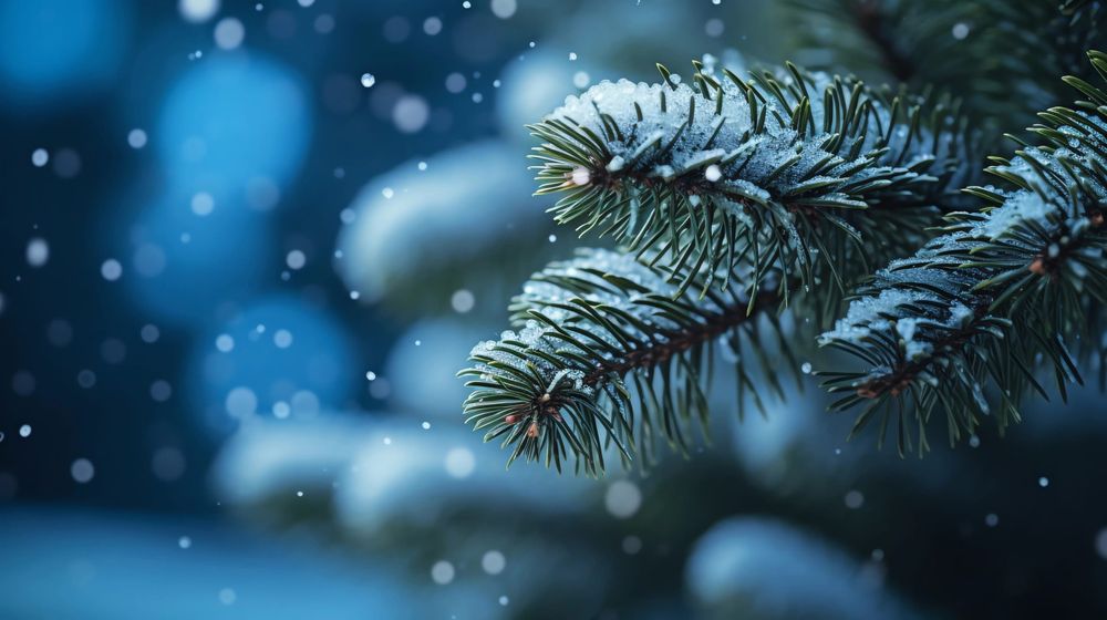 Продам пол дома. Срочно !