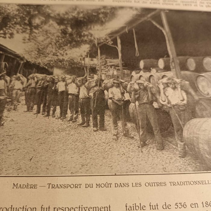 Livro Le Portugal et son activite economique