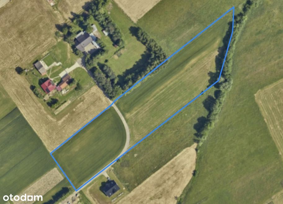 Działka budowlana 9900 m² w dobrej lokalizacji