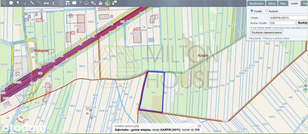 Działka inwestycyjna nr 319, Karpin z WZ