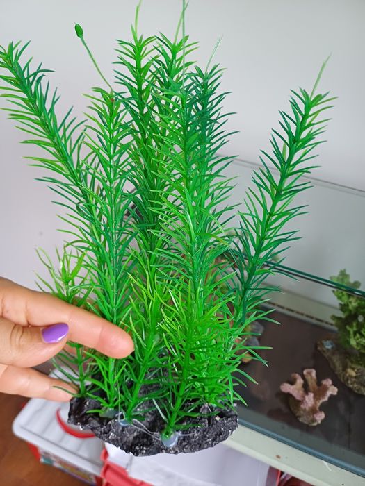 Aquário de peixes 42/25