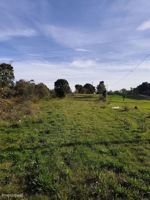 Terreno com 4300m² em Arzila