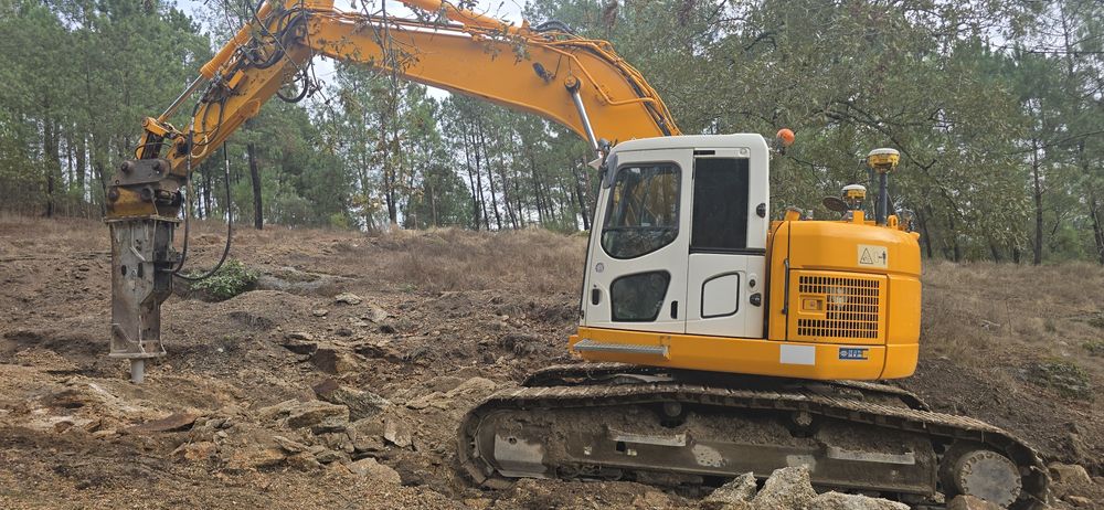 Aluguer e serviços de giratoria