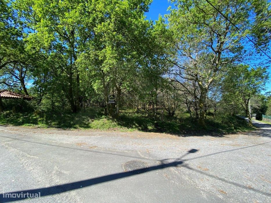 Terreno com Carvalhos