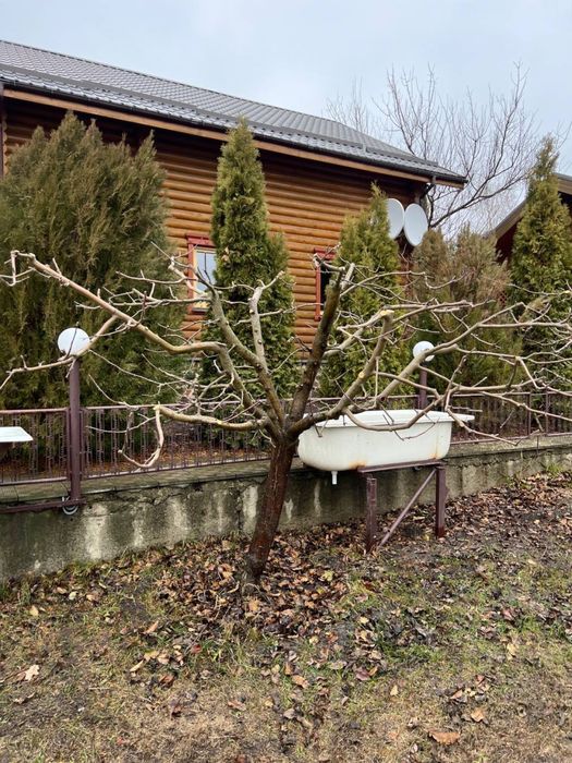 Професійна обрізка сада