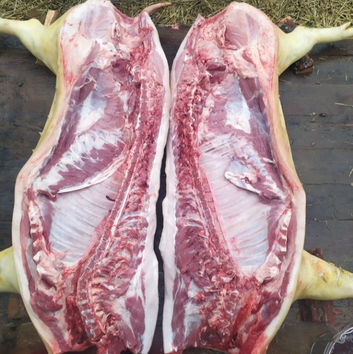 Тушка домашньої свинини