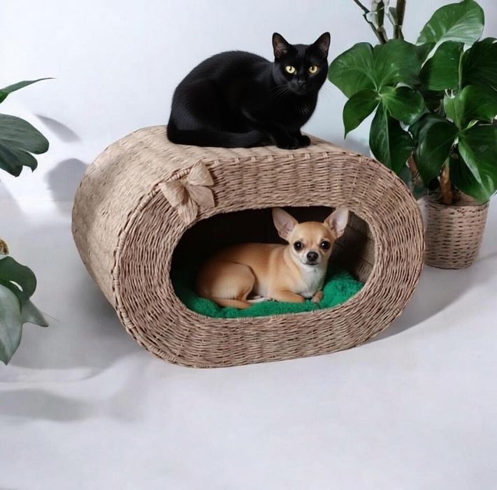 Котобудиночки!!!