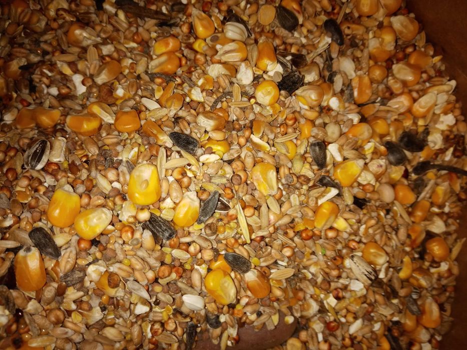 Karma dla gołębi Uniwersalna 25kg U Kampol