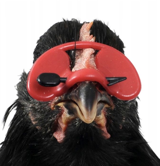 Osłonki na dzioby 10 szt