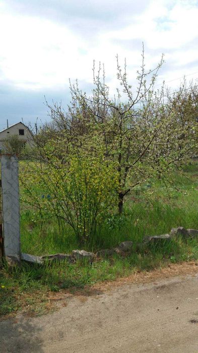 Дачный участок 6 соток Натальевка