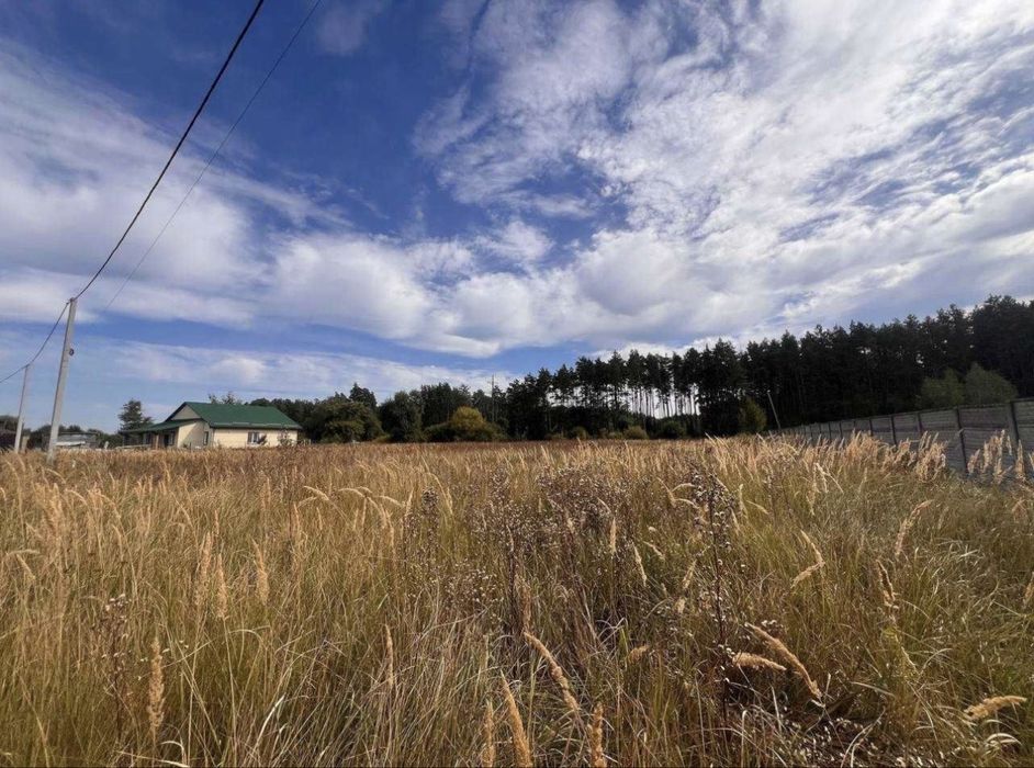 Бабинці. Ділянка під будівництво біля лісу. Без комісій!