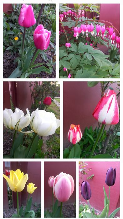 Дом по адресу ул. Загорская (площадь 110 м²) - Atlanta.ua - фото 19