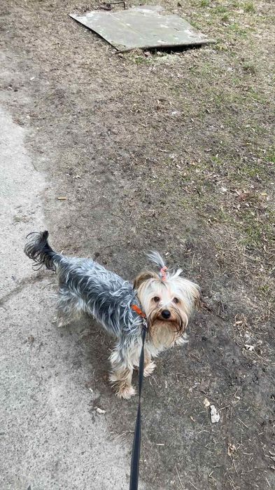 Прекрасные девочки и мальчики