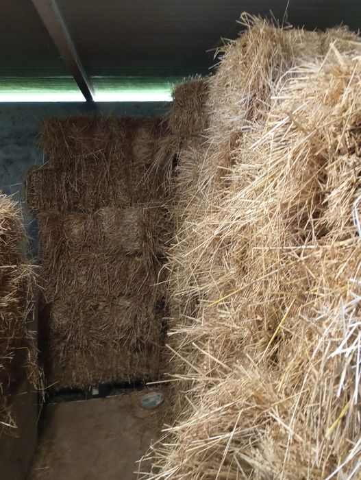 Vendo palha nova