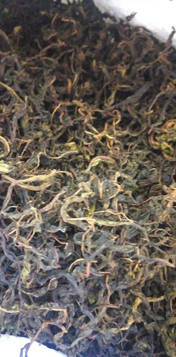 Продам Іван чай ферментовати.
