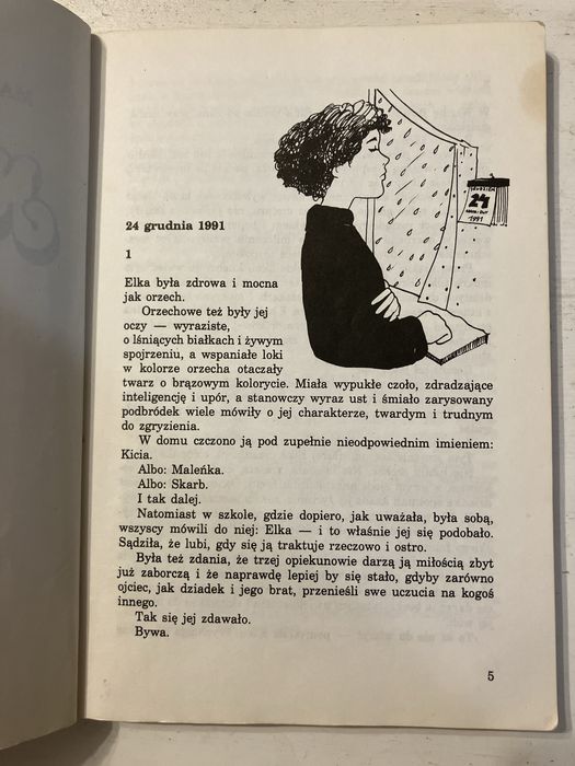 Noelka - Małgorzata Musierowicz