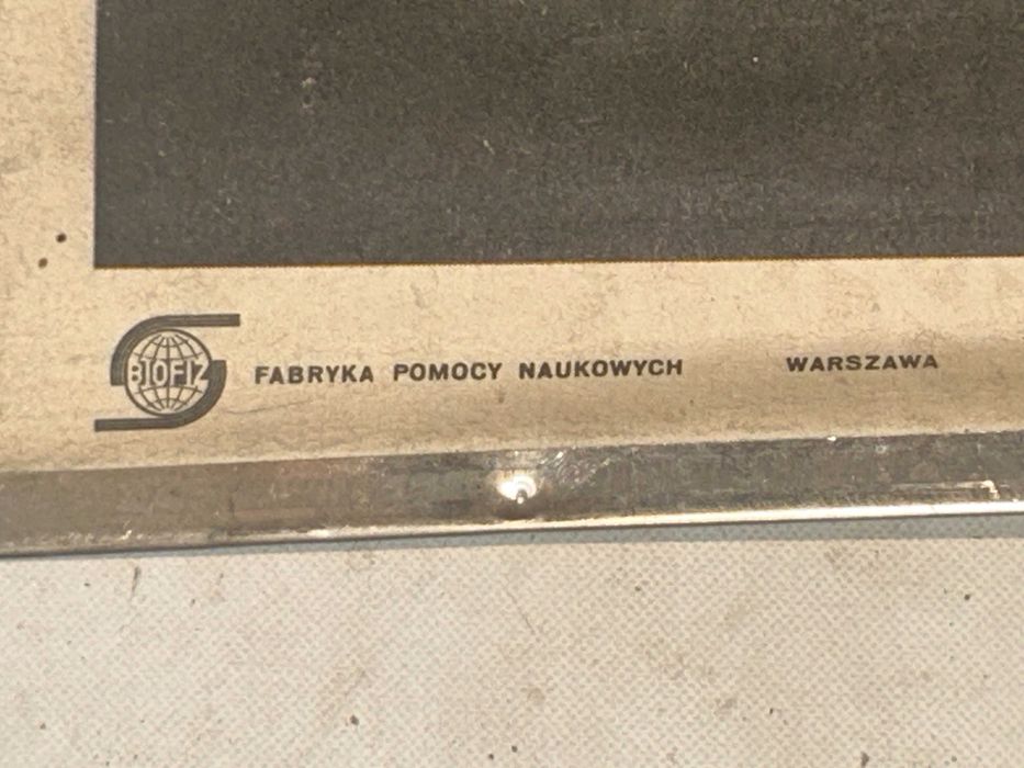 Plakat TRAWIENIE POKARMÓW Fabryka Pomocy Naukowych W-WA