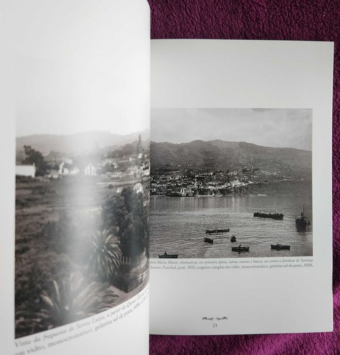 Charles Courtney Shaw- Fotografias da Madeira [de 1920 à década de 40]