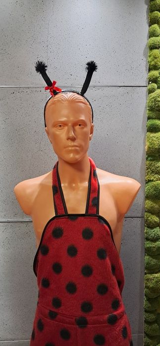 Strój przebranie kostium biedronka
