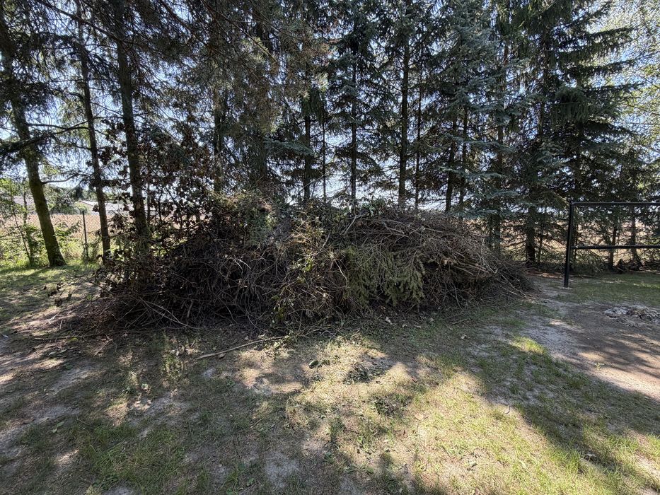 Gałęzie / chrust / zrębki / biomasa / opał