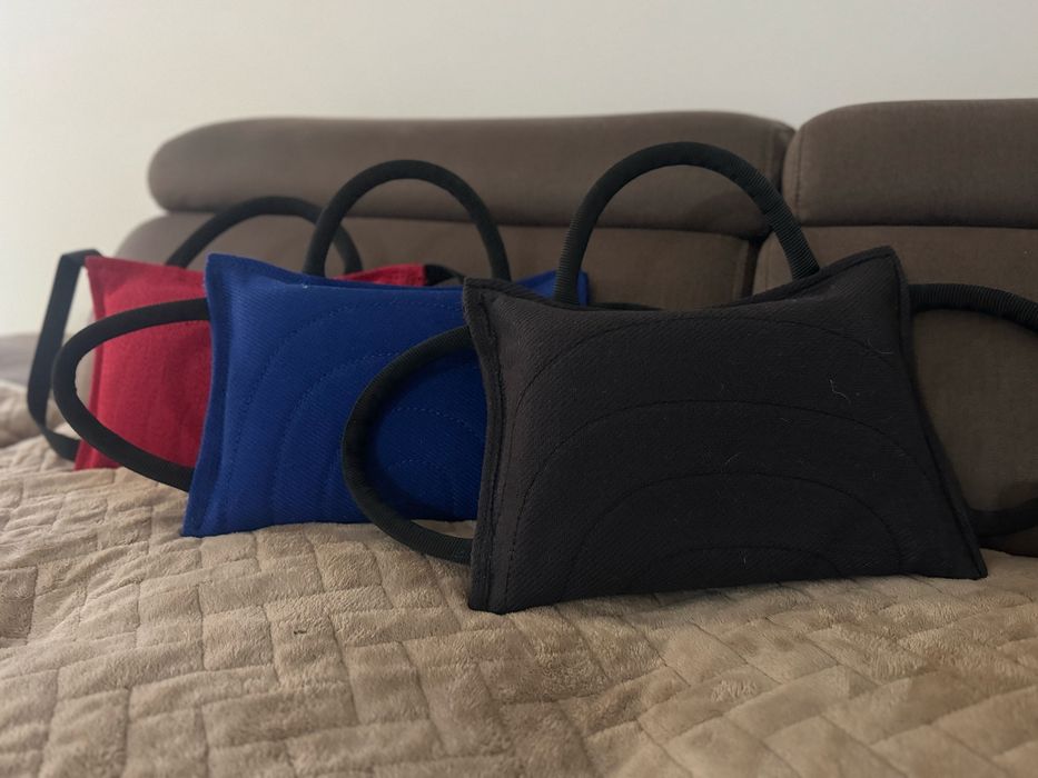 Klin dla psa treningowy