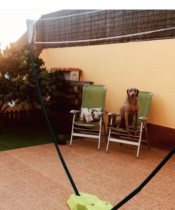 Rede voley crianca portatil