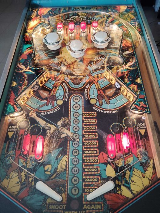 Fliper Pinball - Amazon Hunt