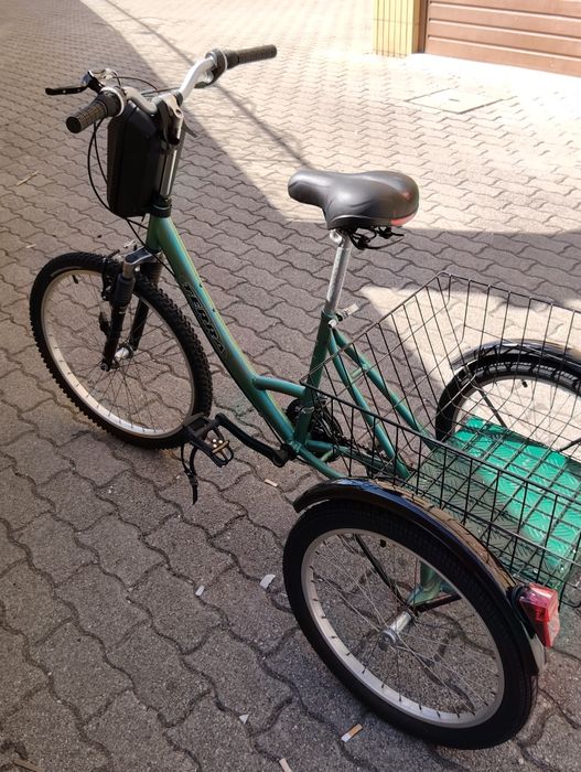 Triciclo adulto Terra