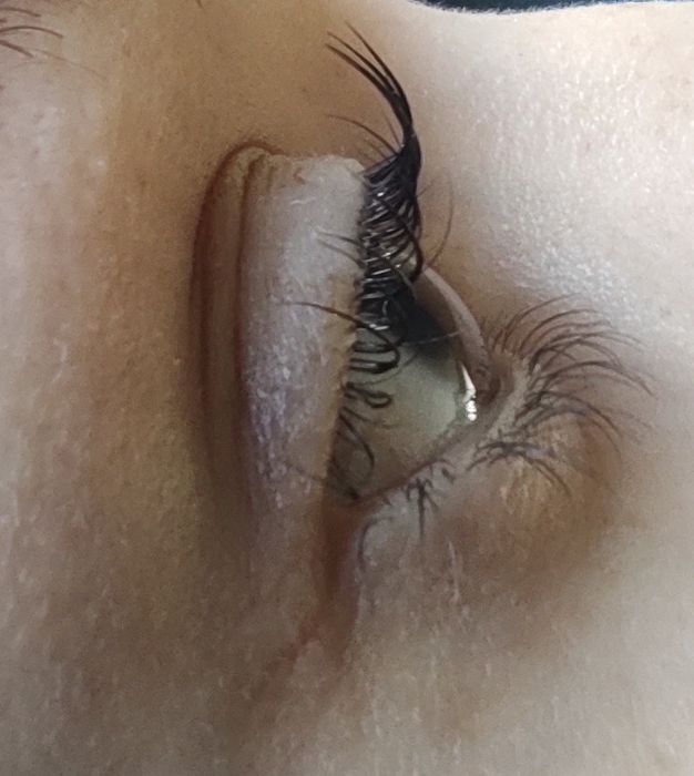 Ламінування вій Виноградар